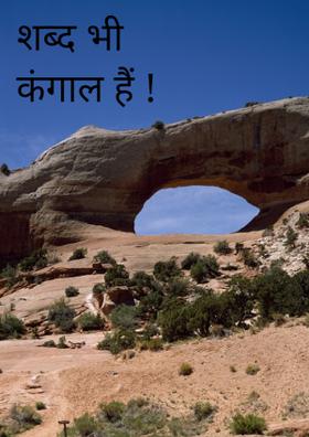 शब्द भी कंगाल हैं !