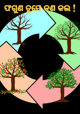 ଫଗୁଣ ତୁମେ କଣ କଲ !