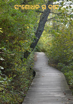 ସଂଶୋଧନର ବାଟ