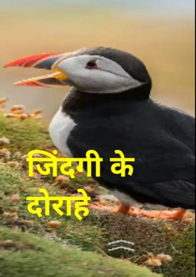 जिंदगी के दोराहे