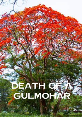 Death Of A Gulmohar