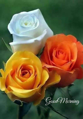 बच्चों का गड़बड़ घोटाला