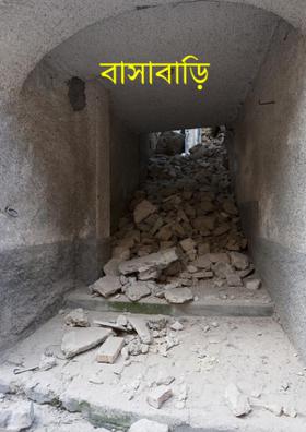 বাসাবাড়ি