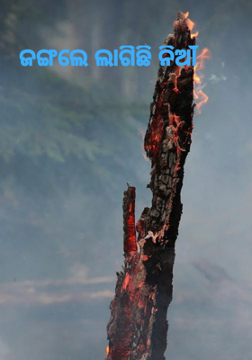 ଜଙ୍ଗଲେ ଲାଗିଛି ନିଆଁ