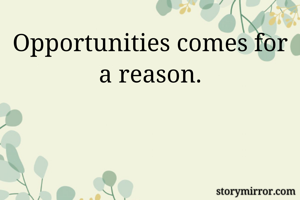 Opportunities comes for a reason.