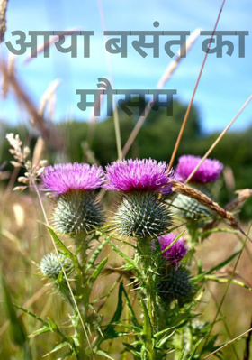 आया बसंत का मौसम