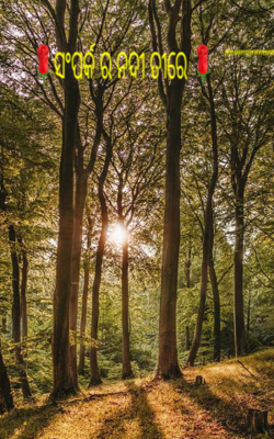 ସମ୍ପର୍କର ନଦୀ ତୀରେ