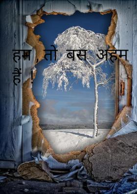 हम , तो  बस  अहम  हैं  !