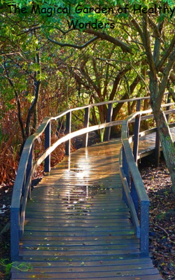 The Magical Garden of Healthy Wonders