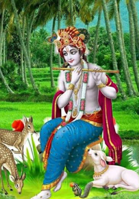 ରୁଦ୍ରାକ୍ଷ 