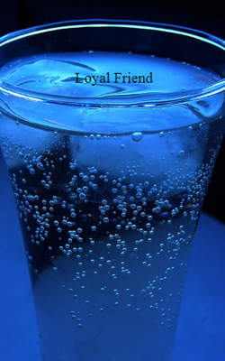 Loyal Friend