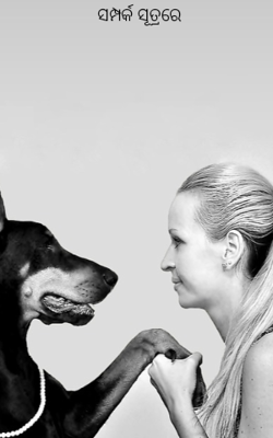 ସମ୍ପର୍କ ସୂତ୍ରରେ