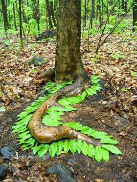 વાસંતી - વિચાર