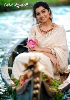 సజీవ స్మృతులే...