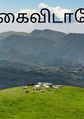 கைவிடாதே