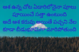 ఆశ ఉన్న చోట ఏడారిలోనైనా పూలు పూయించే సత్తా ఉంటుంది
అదే ఆశ కరువు అయితే పచ్చని నేల కూడా బీడుభూమిగా మారిపోతుంది