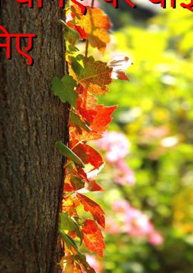 मेहमान बनिए पर बोझ मत बनिए