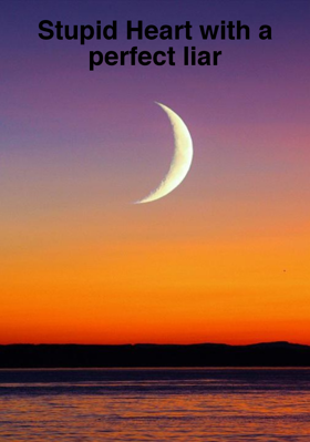 Stupid Heart with a perfect liar