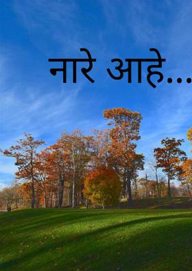 नारे आहे...