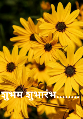 शुभम शुभारंभ........