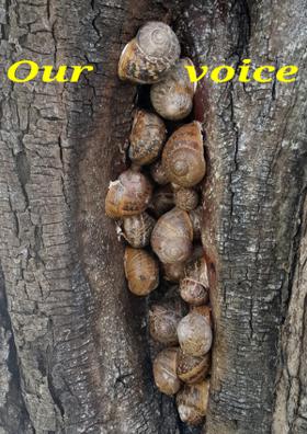 Our Voice
