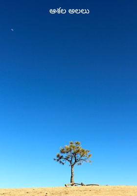 ఆశల అలలు