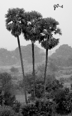 ସ୍ମୃତି-4