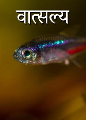 वात्सल्य