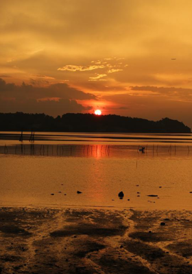 রাষ্ট্রনীতি কেমন হওয়া উচিত?