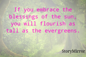 If you embrace the blessings of the sun, you will flourish as tall as the evergreens.