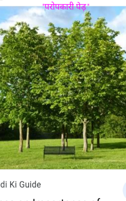 परोपकारी पेड़