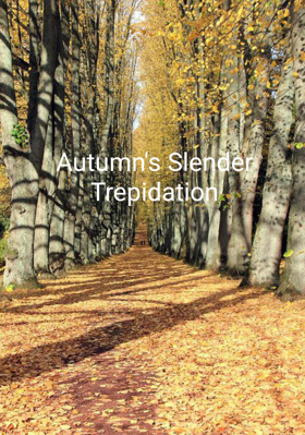 Autumn's Slender Trepidation