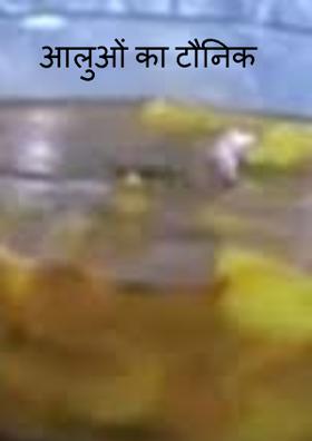 आलुओं का टौनिक