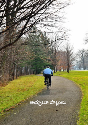 అచ్చులూ హల్లులు