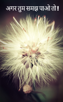 अगर तुम समझ पाओ तो !