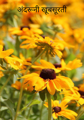 अंदरूनी खूबसूरती