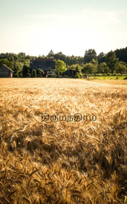 திருமந்திரம்