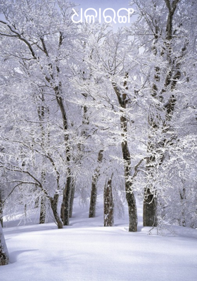 ଧଳାରଙ୍ଗ