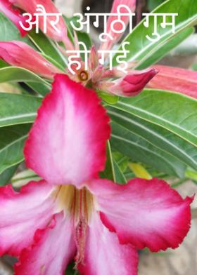 और अंगूठी गुम हो गई