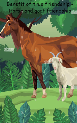 Benefit of true friendship - Horse and goat friendship