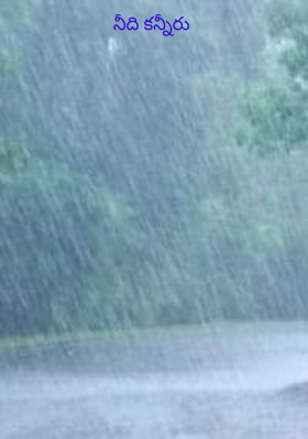 నీది కన్నీరు