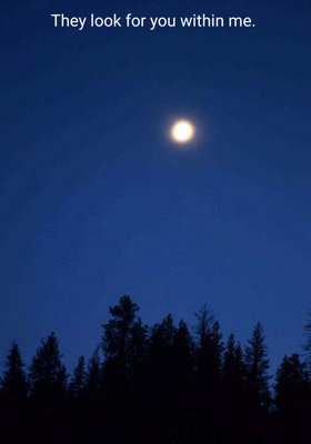 They Look For You Within Me