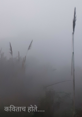 कविताच होते...