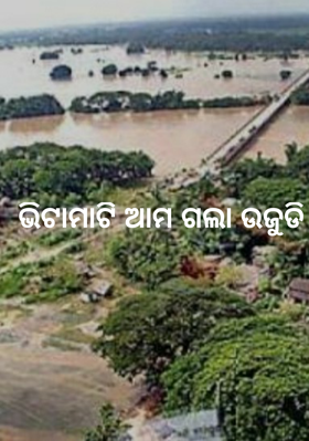 ଭିଟାମାଟି ଆମ ଗଲା ଉଜୁଡି