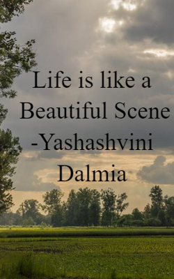 Life Is Like A Beautiful Scene