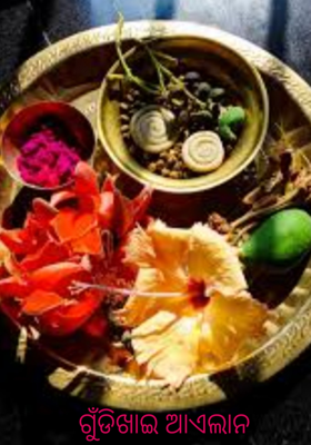 ଗୁଁଡିଖାଇ ଆଏଲାନ
