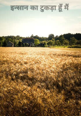 इन्सान का टुकड़ा हूँ मैं