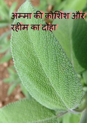 अम्मा की कोशिश और रहीम का दोहा