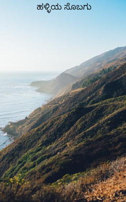 ಹಳ್ಳಿಯ ಸೊಬಗು