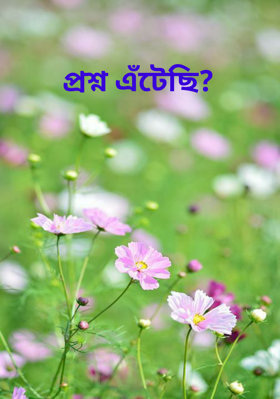 প্রশ্ন এঁটেছি?
